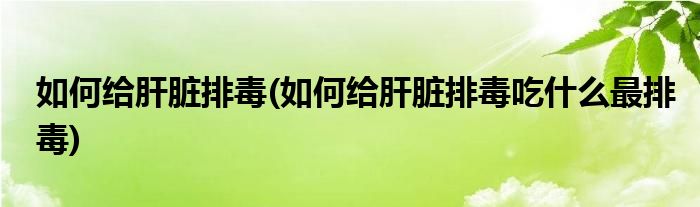 如何給肝臟排毒(如何給肝臟排毒吃什么最排毒)
