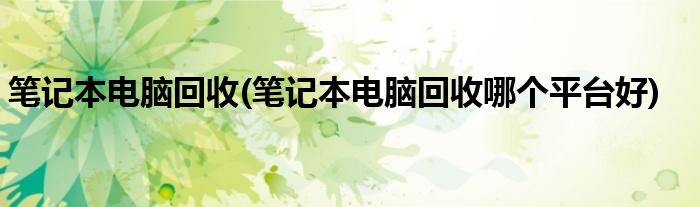 筆記本電腦回收(筆記本電腦回收哪個平臺好)