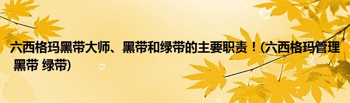 六西格瑪黑帶大師、黑帶和綠帶的主要職責(zé)！(六西格瑪管理 黑帶 綠帶)