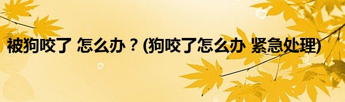 被狗咬了 怎么辦？(狗咬了怎么辦 緊急處理)