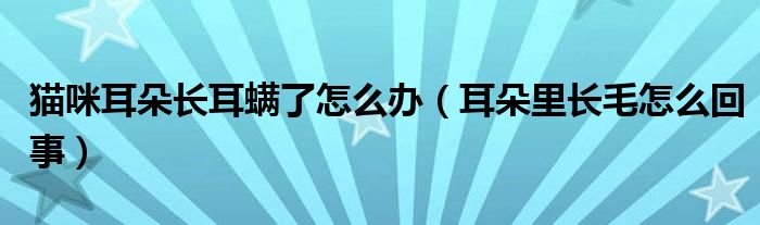 貓咪耳朵長耳螨了怎么辦（耳朵里長毛怎么回事）