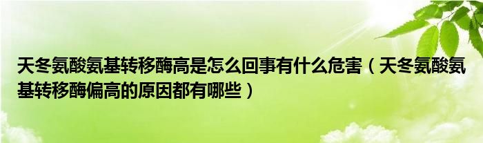 天冬氨酸氨基轉(zhuǎn)移酶高是怎么回事有什么危害（天冬氨酸氨基轉(zhuǎn)移酶偏高的原因都有哪些）