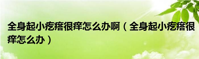 全身起小疙瘩很癢怎么辦?。ㄈ砥鹦「泶窈馨W怎么辦）