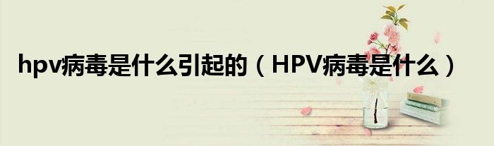 hpv病毒是什么引起的（HPV病毒是什么）