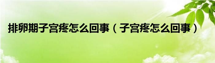 排卵期子宮疼怎么回事（子宮疼怎么回事）