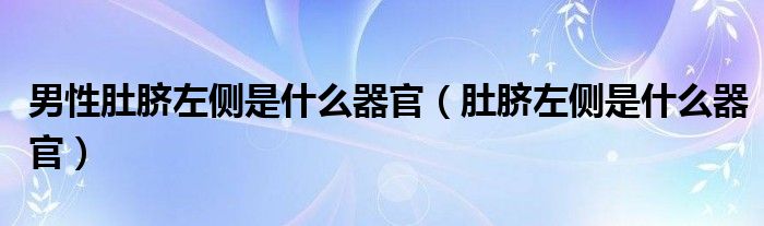 男性肚臍左側(cè)是什么器官（肚臍左側(cè)是什么器官）