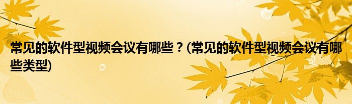 常見的軟件型視頻會議有哪些？(常見的軟件型視頻會議有哪些類型)