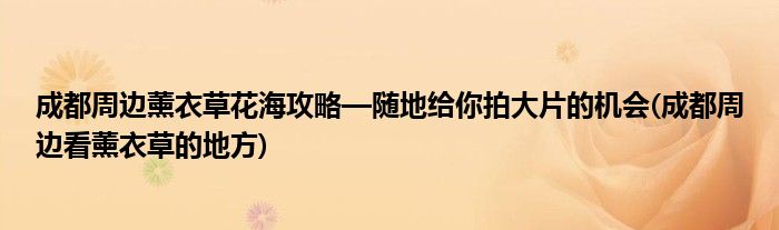 成都周邊薰衣草花海攻略—隨地給你拍大片的機會(成都周邊看薰衣草的地方)