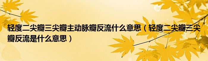 輕度二尖瓣三尖瓣主動脈瓣反流什么意思（輕度二尖瓣三尖瓣反流是什么意思）