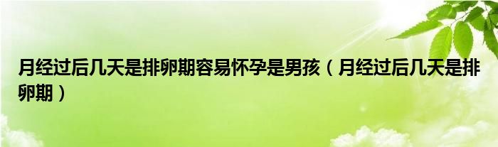 月經(jīng)過后幾天是排卵期容易懷孕是男孩（月經(jīng)過后幾天是排卵期）