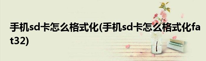 手機(jī)sd卡怎么格式化(手機(jī)sd卡怎么格式化fat32)