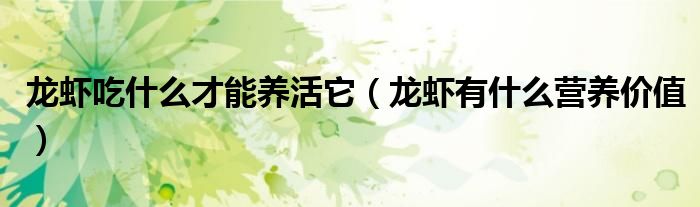 龍蝦吃什么才能養(yǎng)活它（龍蝦有什么營(yíng)養(yǎng)價(jià)值）