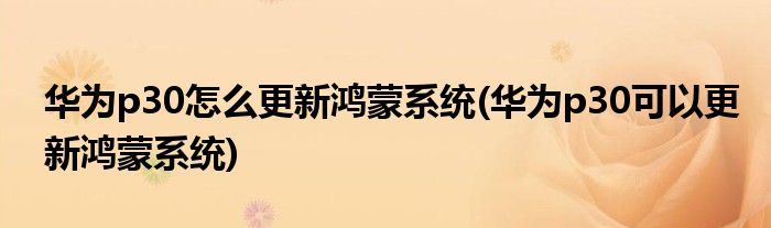 華為p30怎么更新鴻蒙系統(tǒng)(華為p30可以更新鴻蒙系統(tǒng))