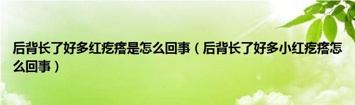 后背長(zhǎng)了好多紅疙瘩是怎么回事（后背長(zhǎng)了好多小紅疙瘩怎么回事）