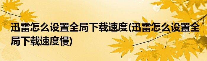 迅雷怎么設(shè)置全局下載速度(迅雷怎么設(shè)置全局下載速度慢)