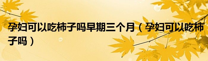 孕婦可以吃柿子嗎早期三個(gè)月（孕婦可以吃柿子嗎）