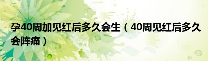 孕40周加見紅后多久會(huì)生（40周見紅后多久會(huì)陣痛）