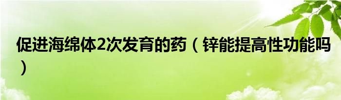 促進(jìn)海綿體2次發(fā)育的藥（鋅能提高性功能嗎）