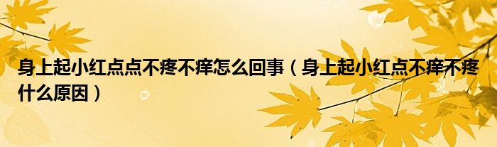 身上起小紅點點不疼不癢怎么回事（身上起小紅點不癢不疼什么原因）