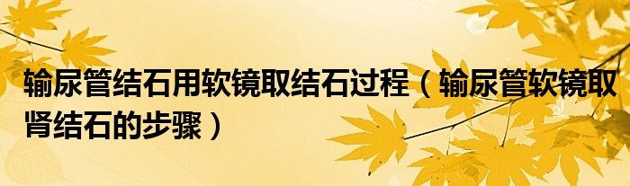 輸尿管結(jié)石用軟鏡取結(jié)石過(guò)程（輸尿管軟鏡取腎結(jié)石的步驟）