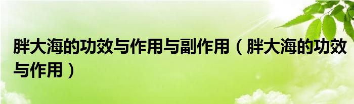 胖大海的功效與作用與副作用（胖大海的功效與作用）