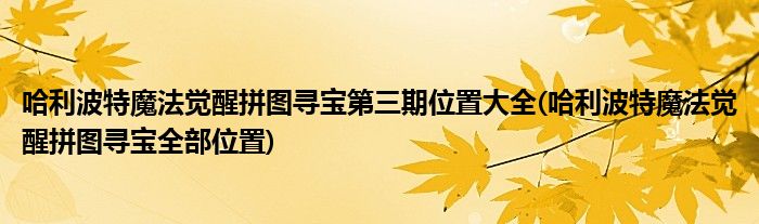 哈利波特魔法覺醒拼圖尋寶第三期位置大全(哈利波特魔法覺醒拼圖尋寶全部位置)