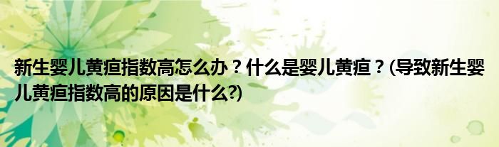 新生嬰兒黃疸指數(shù)高怎么辦？什么是嬰兒黃疸？(導致新生嬰兒黃疸指數(shù)高的原因是什么?)