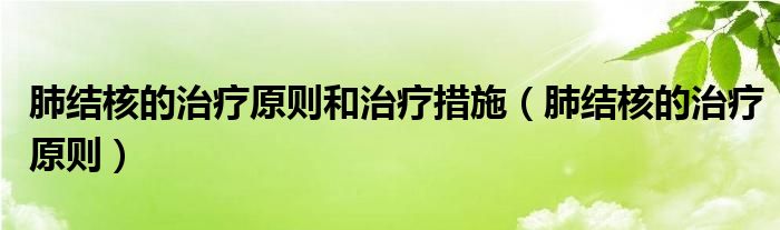 肺結核的治療原則和治療措施（肺結核的治療原則）