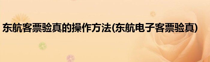 東航客票驗(yàn)真的操作方法(東航電子客票驗(yàn)真)