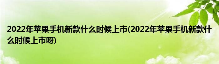 2022年蘋果手機(jī)新款什么時候上市(2022年蘋果手機(jī)新款什么時候上市呀)