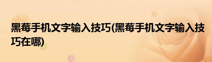黑莓手機文字輸入技巧(黑莓手機文字輸入技巧在哪)