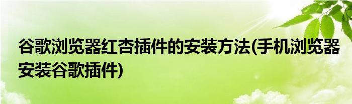 谷歌瀏覽器紅杏插件的安裝方法(手機(jī)瀏覽器安裝谷歌插件)