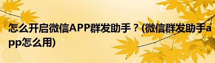 怎么開啟微信APP群發(fā)助手？(微信群發(fā)助手app怎么用)