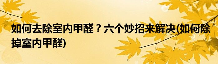如何去除室內(nèi)甲醛？六個妙招來解決(如何除掉室內(nèi)甲醛)