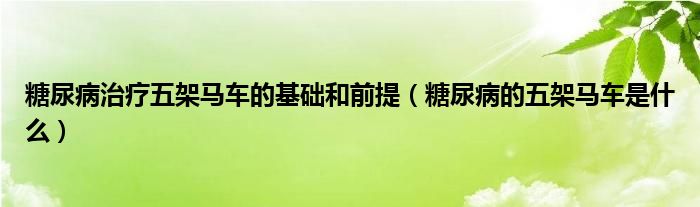 糖尿病治療五架馬車的基礎(chǔ)和前提（糖尿病的五架馬車是什么）