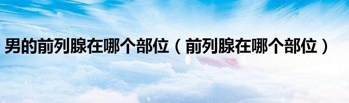 男的前列腺在哪個(gè)部位（前列腺在哪個(gè)部位）