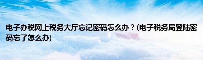 電子辦稅網(wǎng)上稅務(wù)大廳忘記密碼怎么辦？(電子稅務(wù)局登陸密碼忘了怎么辦)