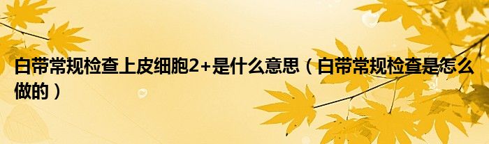 白帶常規(guī)檢查上皮細胞2+是什么意思（白帶常規(guī)檢查是怎么做的）