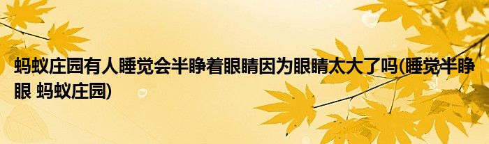 螞蟻莊園有人睡覺會半睜著眼睛因為眼睛太大了嗎(睡覺半睜眼 螞蟻莊園)