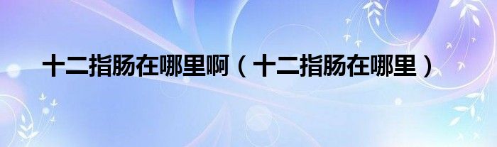 十二指腸在哪里?。ㄊ改c在哪里）