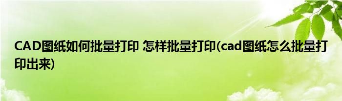 CAD圖紙如何批量打印 怎樣批量打印(cad圖紙?jiān)趺磁看蛴〕鰜?