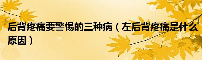 后背疼痛要警惕的三種?。ㄗ蠛蟊程弁词鞘裁丛颍?class='thumb lazy' /></a>
		    <header>
		<h2><a  href=