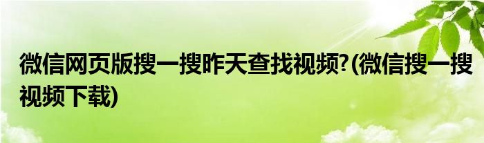 微信網(wǎng)頁版搜一搜昨天查找視頻?(微信搜一搜視頻下載)