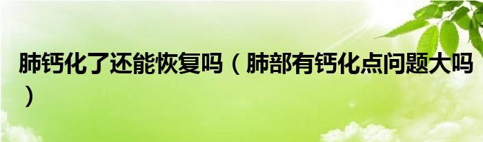 肺鈣化了還能恢復(fù)嗎（肺部有鈣化點(diǎn)問(wèn)題大嗎）