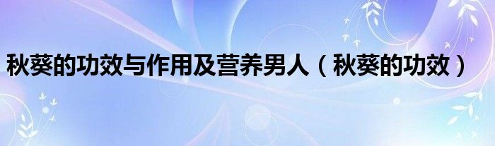 秋葵的功效與作用及營養(yǎng)男人（秋葵的功效）