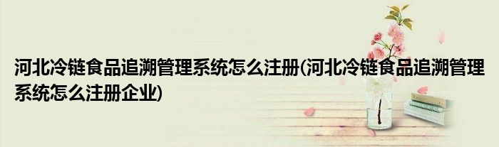 河北冷鏈?zhǔn)称纷匪莨芾硐到y(tǒng)怎么注冊(河北冷鏈?zhǔn)称纷匪莨芾硐到y(tǒng)怎么注冊企業(yè))