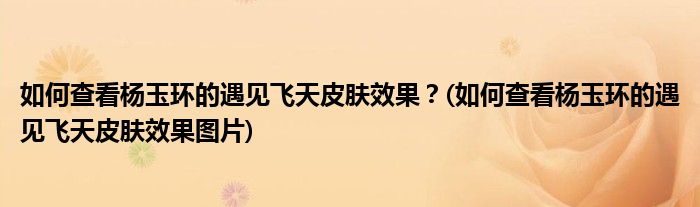 如何查看楊玉環(huán)的遇見飛天皮膚效果？(如何查看楊玉環(huán)的遇見飛天皮膚效果圖片)
