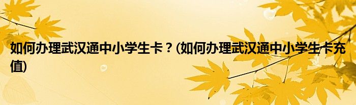 如何辦理武漢通中小學生卡？(如何辦理武漢通中小學生卡充值)