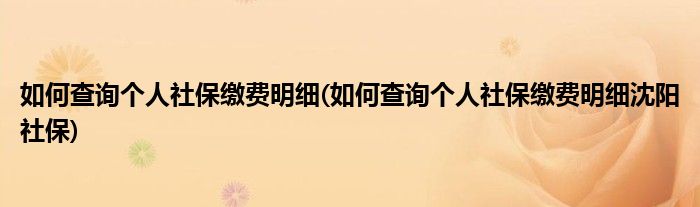 如何查詢個人社保繳費明細(如何查詢個人社保繳費明細沈陽社保)