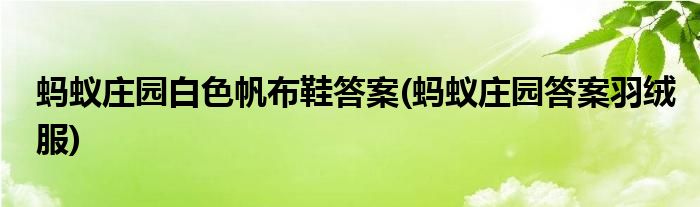 螞蟻莊園白色帆布鞋答案(螞蟻莊園答案羽絨服)